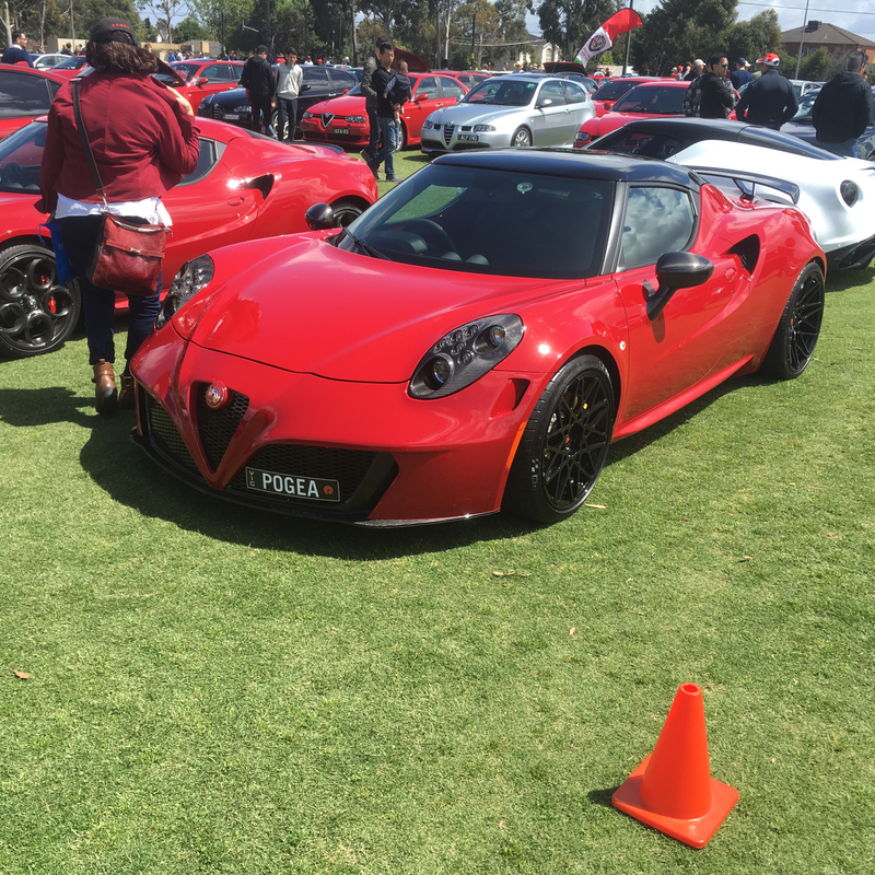 Illustration for article titled Alfa car show pic dump